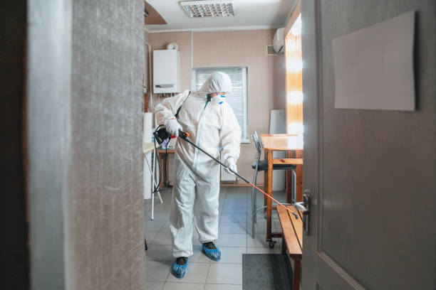 Best Comprehensive Air Testing for Mold Contaminants  in Oildale, CA