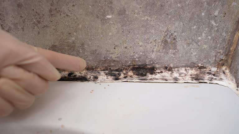 Best Indoor Air Quality Assessment  in Oildale, CA